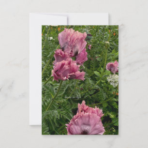 Lavender Oriental Poppies Card