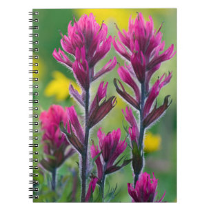 Lavender Paintbrush Notebook