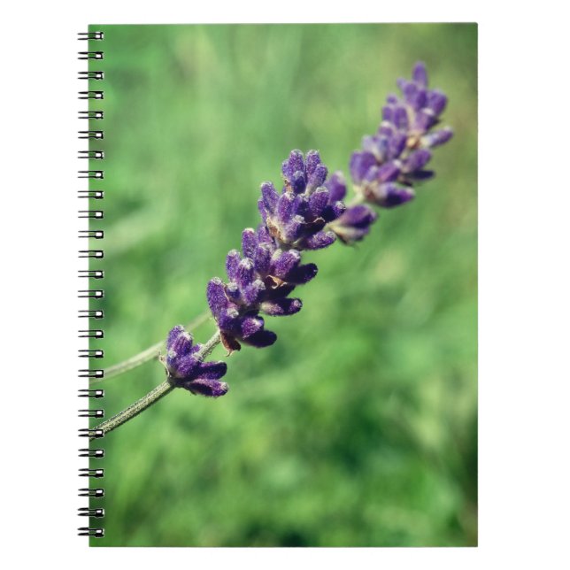 Lavender Photo Spiral  Notebook (Front)