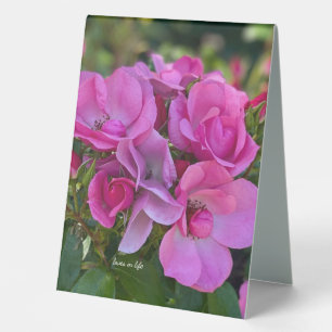 lavender Pink Rose