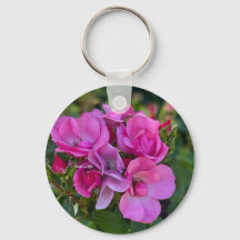 lavender Pink Rose