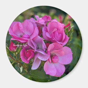 lavender Pink Rose Magnet