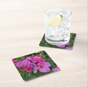 lavender Pink Rose Square Paper Coaster