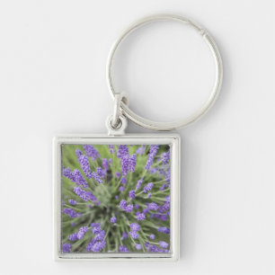 Lavender plants key ring