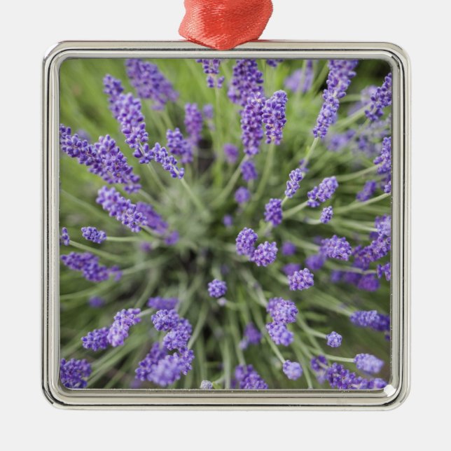 Lavender plants metal tree decoration (Front)