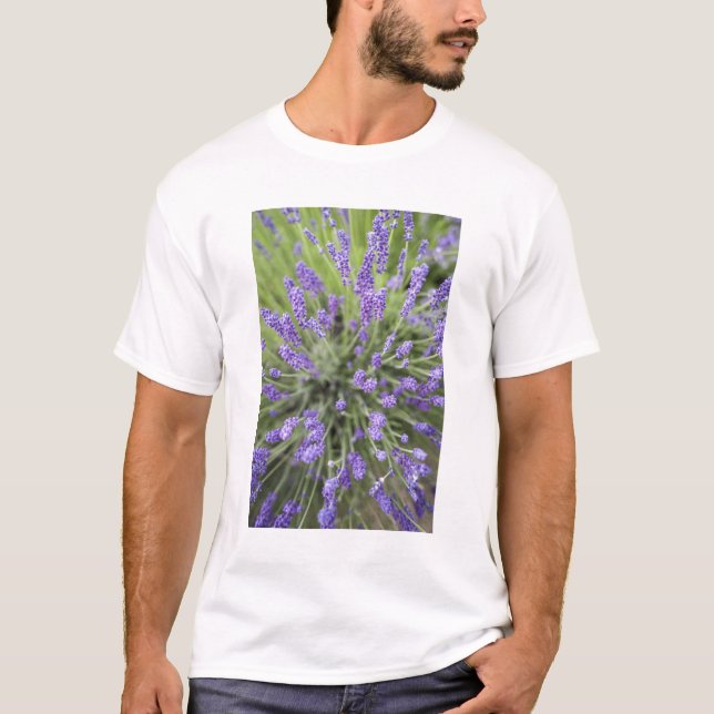 Lavender plants T-Shirt (Front)