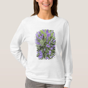 Lavender plants T-Shirt