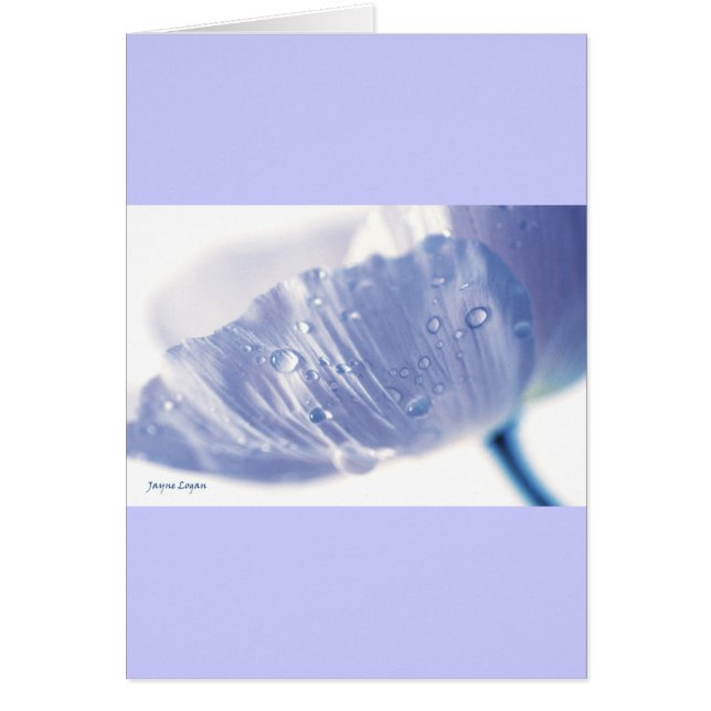Lavender Poppy & Raindrops, template (Front)