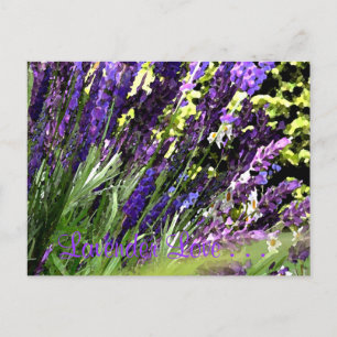 Lavender Postcard