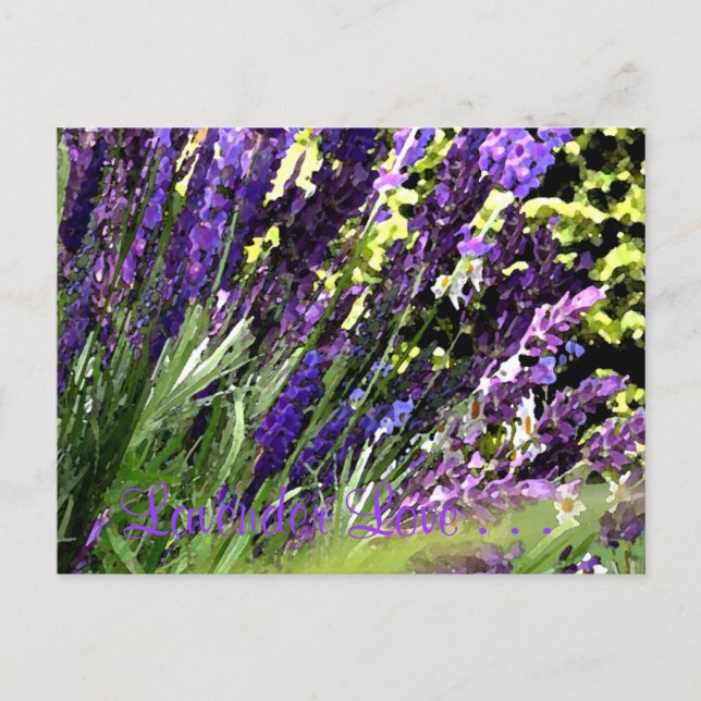 Lavender Postcard (Front)