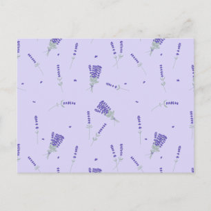 Lavender Purple Wildflower Floral Botanical Postcard