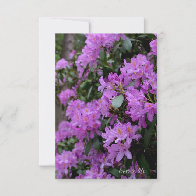 Lavender Rhododendron  Card (Front)