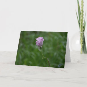 Lavender Rose card