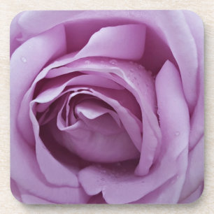 Lavender Rose Coaster