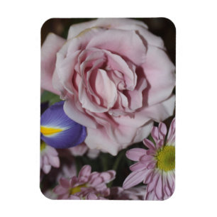Lavender Rose Magnet