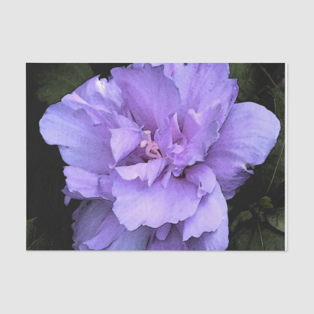 Lavender Rose of Sharon Tissue Paper (Front)