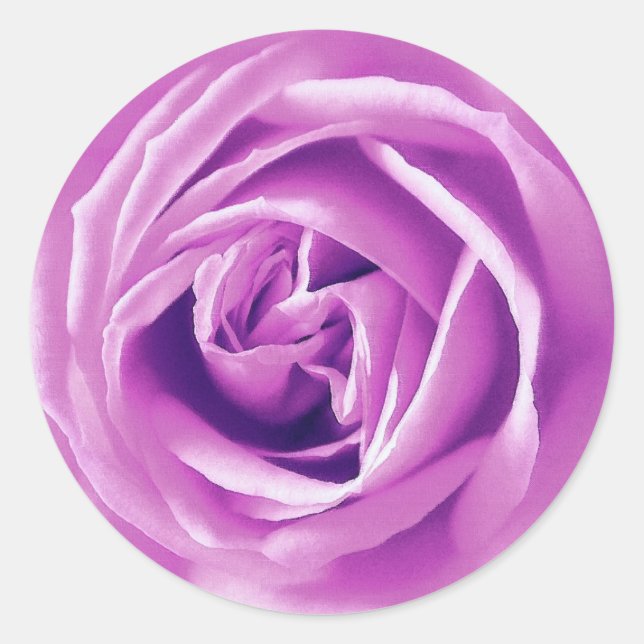 Lavender rose print classic round sticker (Front)