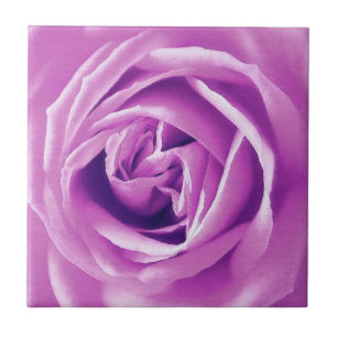 Lavender rose print tile