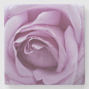 Lavender Rose Stone Coaster