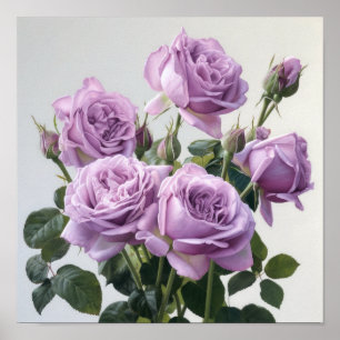 Lavender Roses Flower Art Print Poster