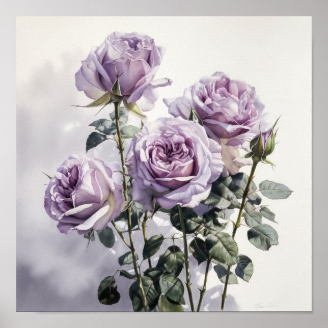 Lavender Roses Flower Art Print Poster (Front)