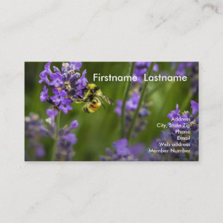 Lavender Row Business Card