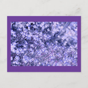 Lavender sparkly Fairy Flowers, template Postcard