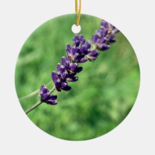 Lavender Stalk Photo Circle Ornament