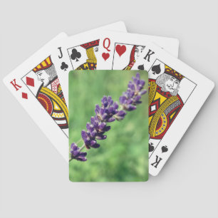 Lavender Stalk Photo Classic Playing Cards