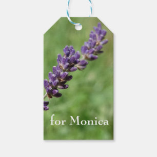 Lavender Stalk Photo Custom Gift Tags