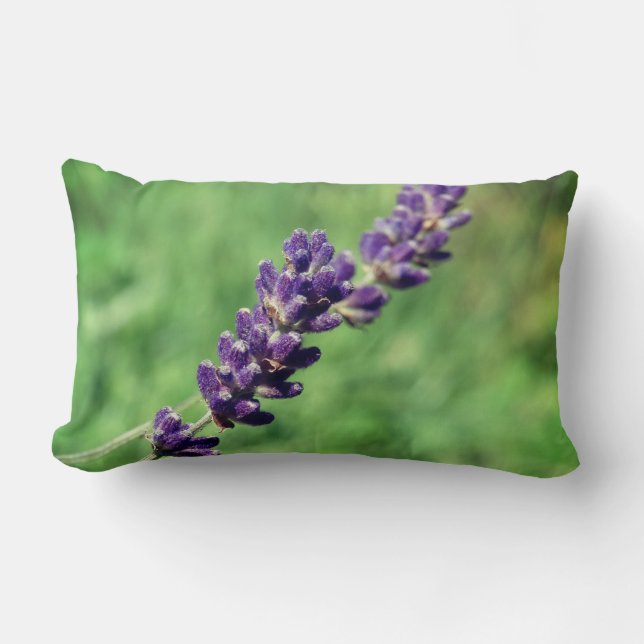Lavender Stalk Photo  Lumbar Cushion (Front)