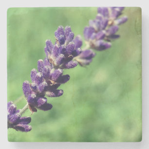 Lavender Stalk Photo Marble Stone Coaster