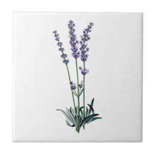 Lavender Tile