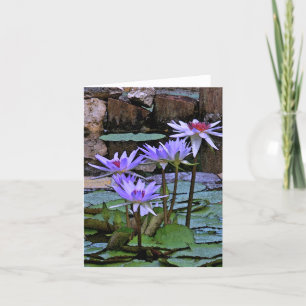 LAVENDER WATER LILIES AND LILY PADS IN WATER GARDE CARD
