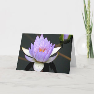 Lavender Water Lily Thank You Card
