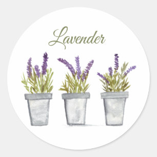 Lavender Watercolor Herbs Kitchen Purple  Classic Round Sticker