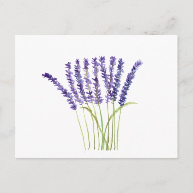 Lavender Watercolor Purple Flowers Rustic Postcard (Front)