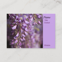 Lavender Whispers: Wisteria's Gentle Floral Dance