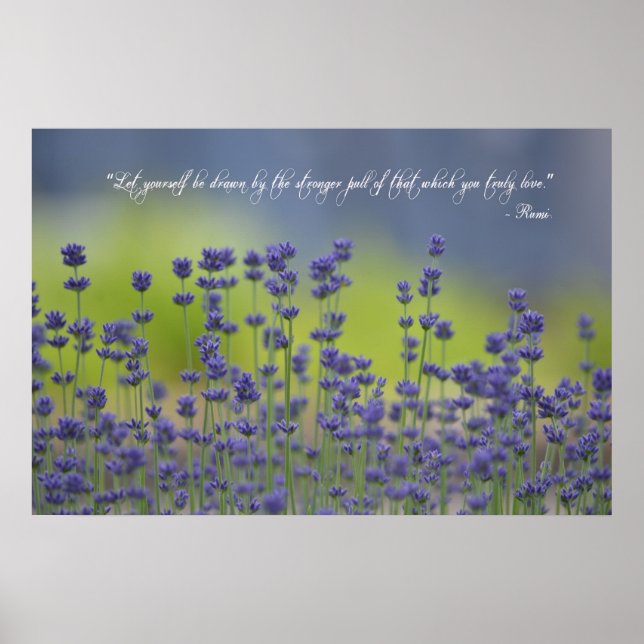 Lavender with Quote Poster (Front)