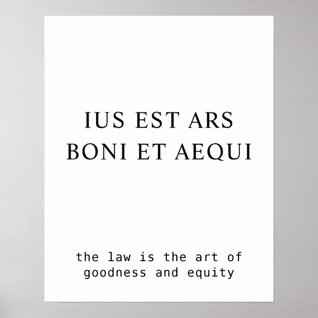 Law Goodness & Equity Inspirational Latin Quote Poster (Front)