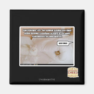 Law of Nature #45 Magnet