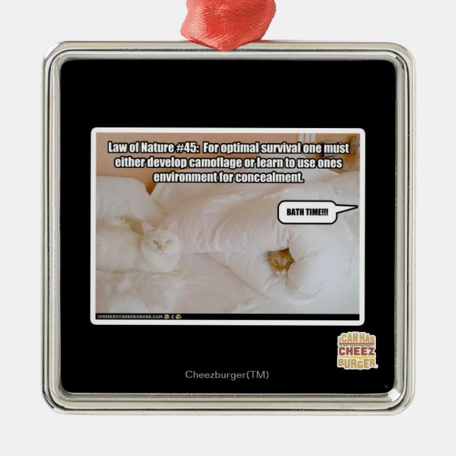 Law of Nature #45 Metal Ornament (Front)