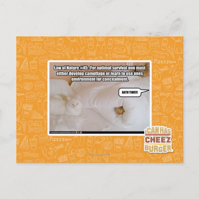 Law of Nature #45 Postcard (Front)