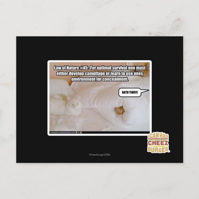 Law of Nature Postcard (Front)