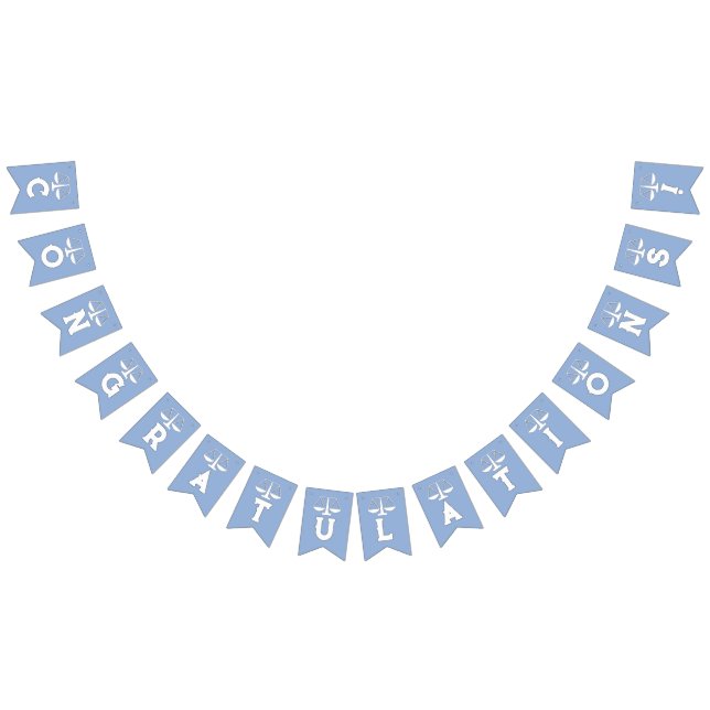 Law School Graduation Bunting Flags (All)