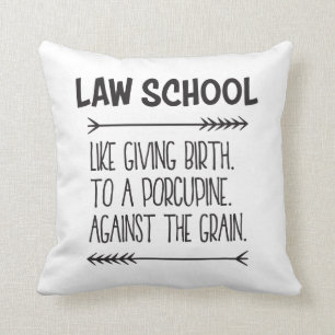 Law School Law Student Lawyer Funny Cushion