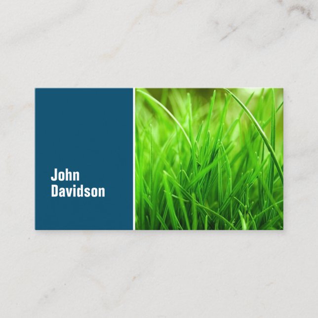 Lawn Care Blue Green Grass Business Card (Front)