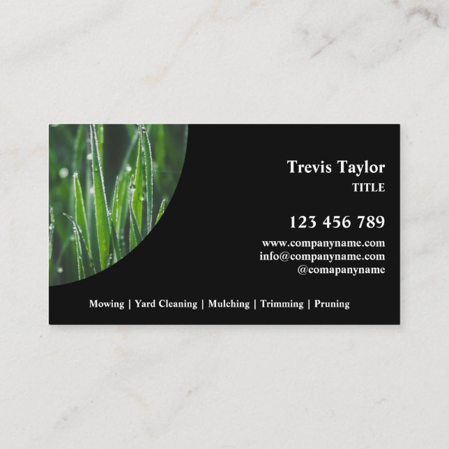 Lawn Care Landscape modern professional yard Busin Business Card (Back)