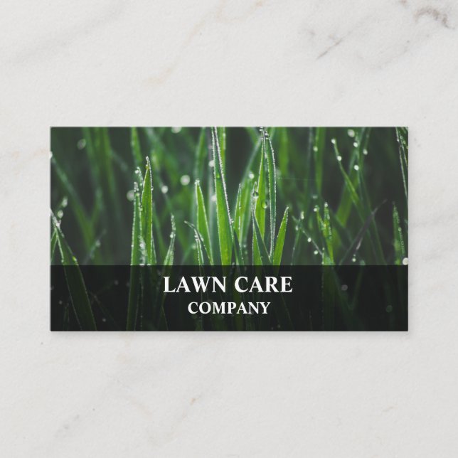 Lawn Care Landscape modern professional yard Busin Business Card (Front)