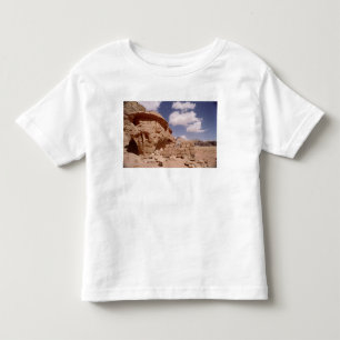 Lawrence of Arabia's house during Toddler T-Shirt